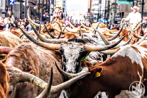 National western stock show - Watch on. The National Western Stock Show in Denver, Colorado takes place Jan. 11-25. Price of admission varies. Here's info on where to park, its history and attractions.